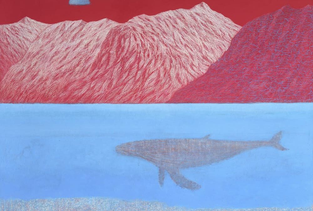 Upcoming Show by Allan MacDonald